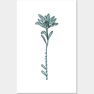 Sound of Music Edelweiss Flower Delicate Design Posters and Art